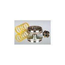 variokit burgman 400 injectie malossi 5111389