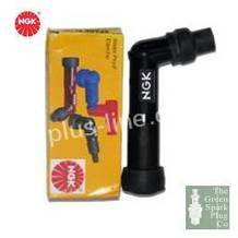 APNGK10206.jpg