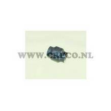 cre60266773.jpg