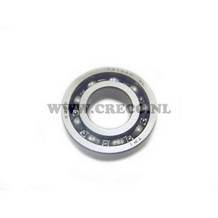 cre7030231.jpg
