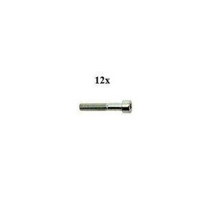 Bouten | bout inbus m8x70mm 12pcs 