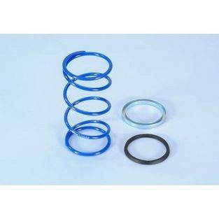 koppelingsdrukveer set plus 87 procent minarelli 3.8 polini evo slider 243.104