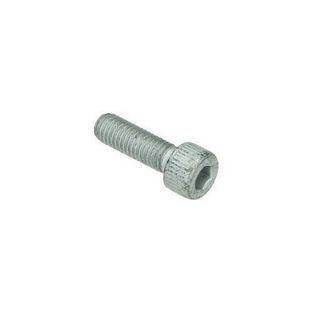 bout remschijf piag orig 597150