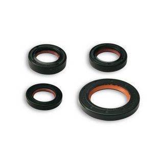 keerringset scooter piaggio 2-takt malossi 6615749